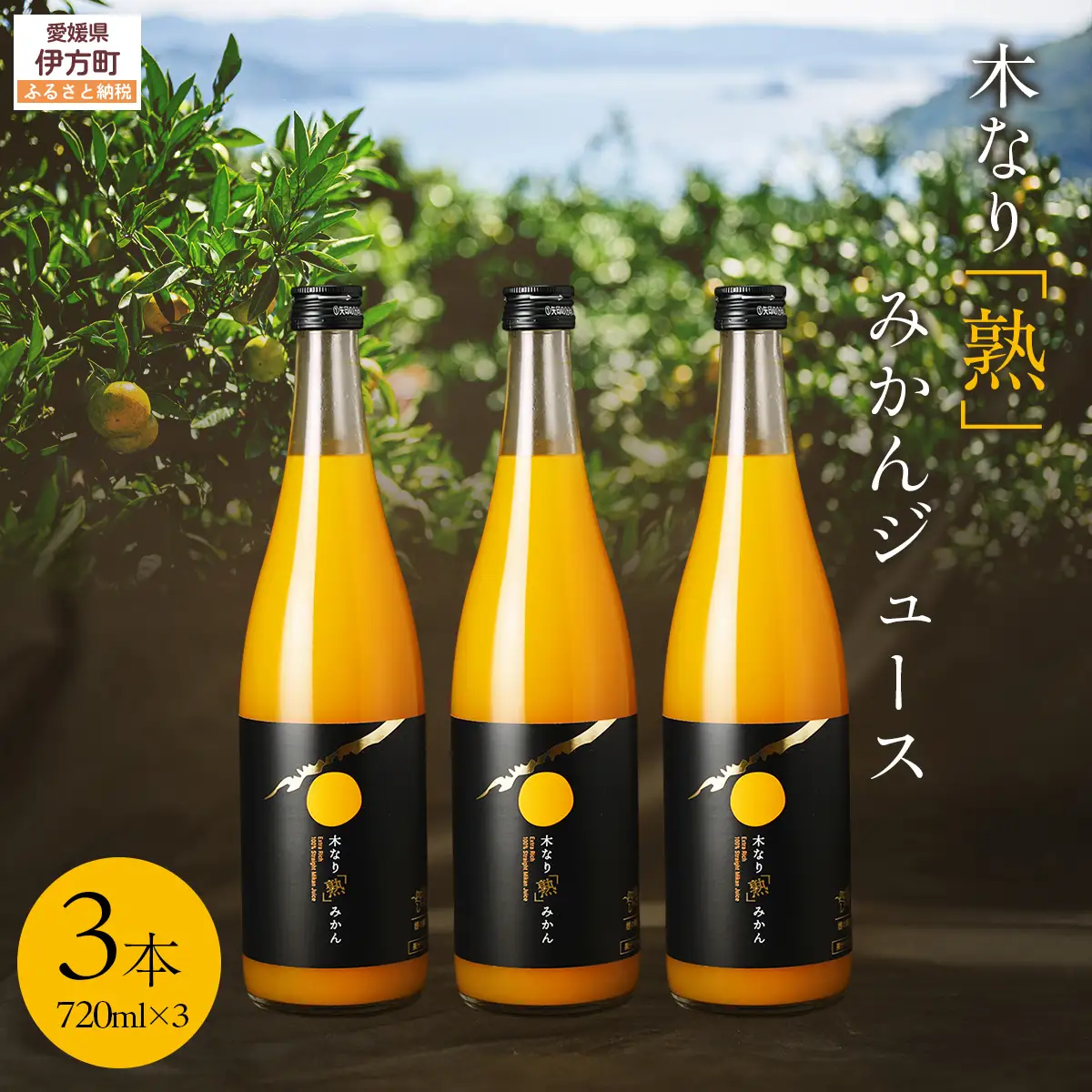木なり「熟」みかんジュース（720ml×3本） IKTE011