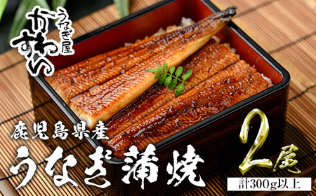 ＜うなぎ屋かわすい＞鹿児島県産 国産 うなぎ 蒲焼 タレ 鰻 うな重 かばやき 計300g 以上 150～169g×2本【川口水産】A854