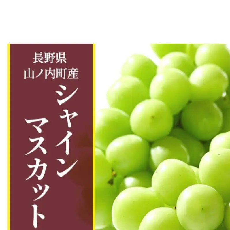 【2026年10月発送】シャインマスカット2房 約1kg ぶどう ブドウ 果物 くだもの フルーツ 信州 長野