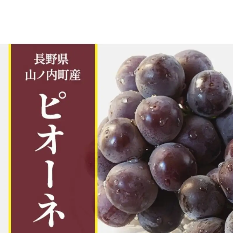 【2026年10月発送】ぶどう 先行予約 ピオーネ 2房 約1kg フルーツ 果物 秋 旬 長野県産 