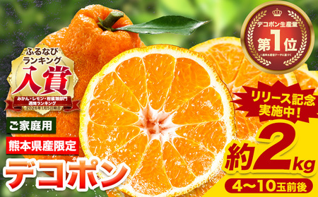 デコポン 訳あり 2kg 家庭用  デコポン
