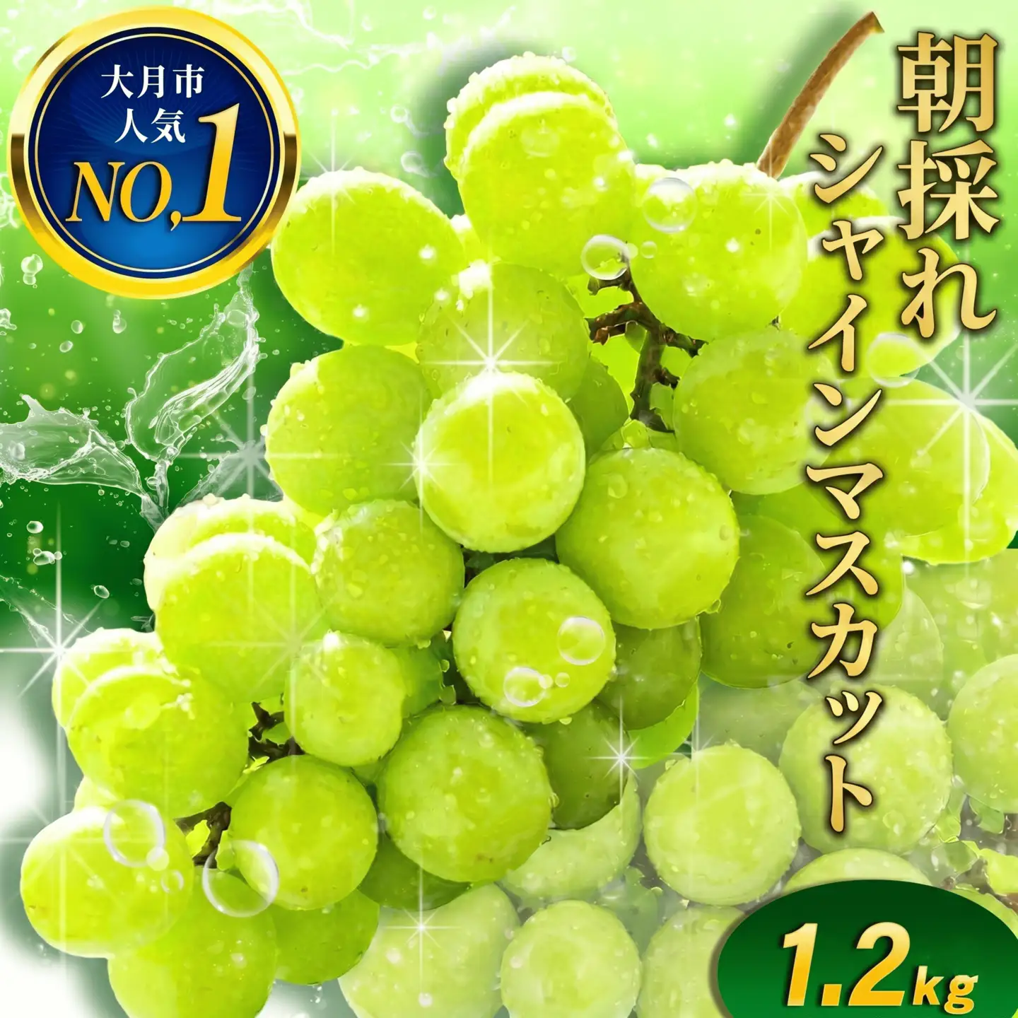 シャインマスカット 1.2kg 2026年収穫分　シャインマスカット