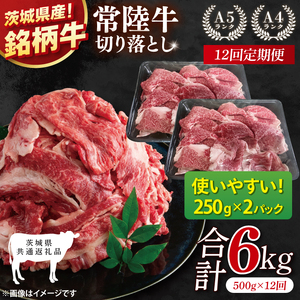 【茨城県共通返礼品】【12ヶ月定期便】常陸牛切り落とし 500g（250g×2）【黒毛和牛 国産 銘柄牛 牛肉 肉 冷凍 茨城県産】(81-21)