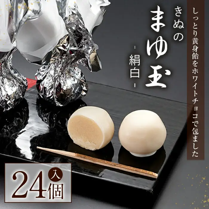 きぬのまゆ玉 24個（絹白） チョコレート 和菓子 常温 贈答 ギフト 手土産 お土産 お中元 お歳暮 【有限会社　湖月庵】【ho1543】