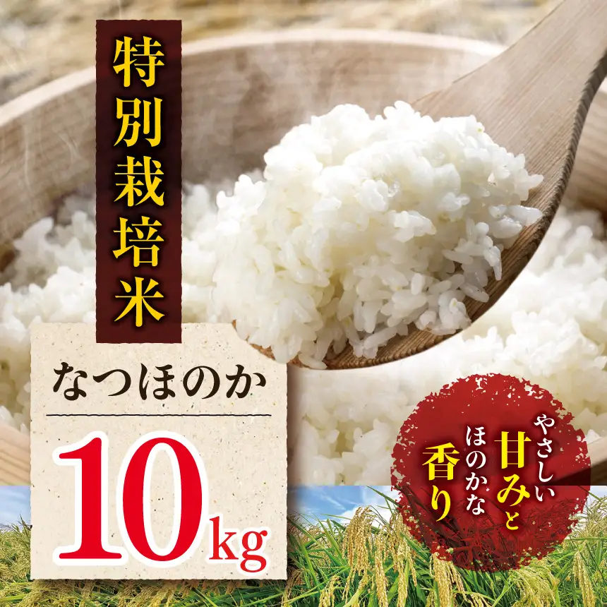 特別栽培米 なつほのか 10kg | お米 米 精米 白米 おこめ こめ ご飯 ごはん 国産米 10キロ 大分県産 九州産 大分県 中津市