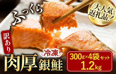 訳あり塩銀鮭切り身 1.2kg（300g×4袋）【V003250】