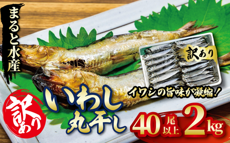 いわしの丸干し 訳あり 2㎏ イワシ 干物 まると水産