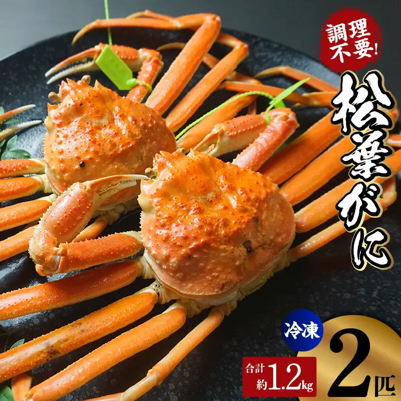 カニ 【タグ付き】 釜茹で 松葉がに 計約1.2kg【令和8年11月中旬以降発送予定】かに 07-138