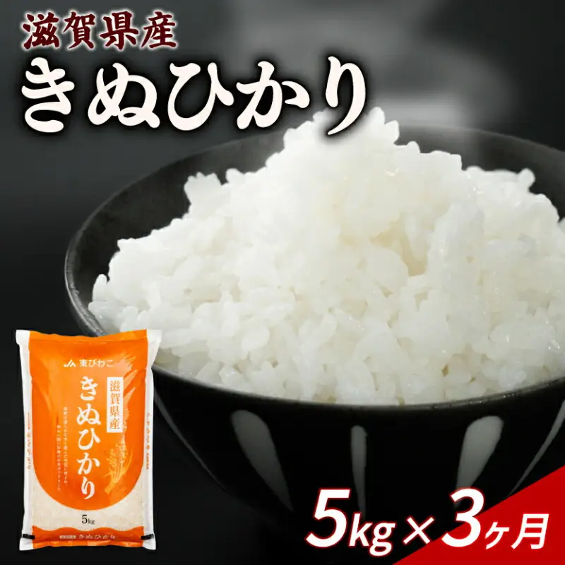 【3ヶ月定期便】きぬひかり 5kg 令和7年産 キヌヒカリ 定期便 お米 米