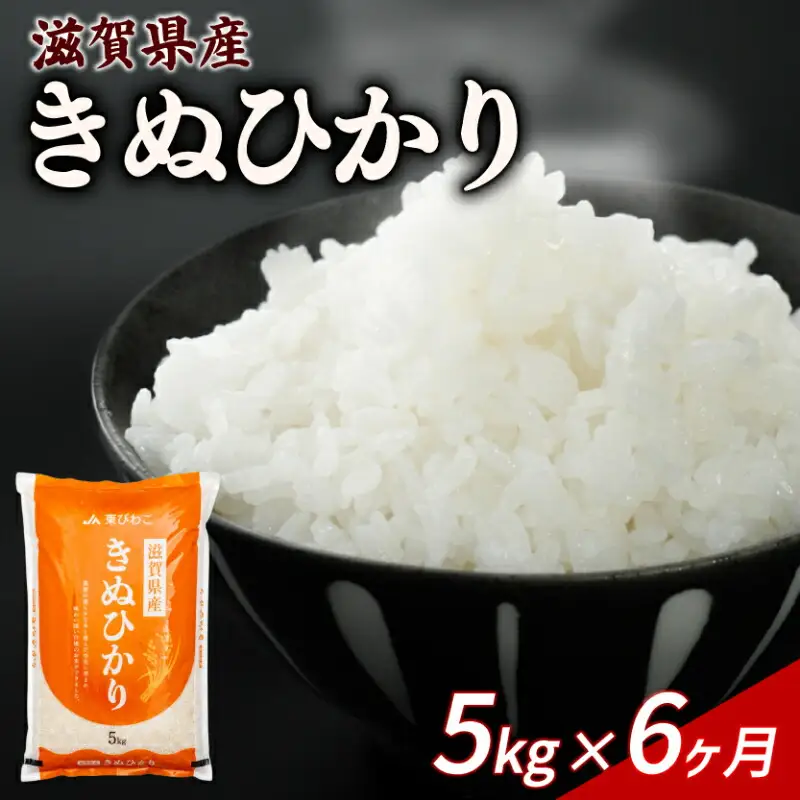 【6ヶ月定期便】きぬひかり 5kg 令和7年産 キヌヒカリ 定期便 お米 米