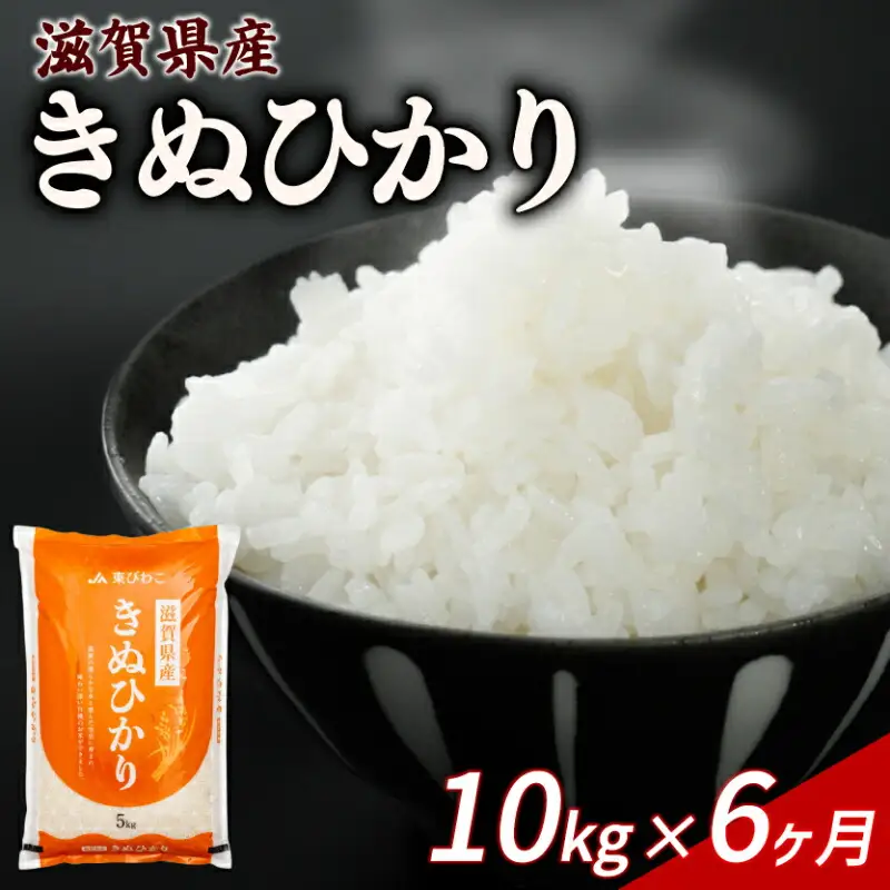 【6ヶ月定期便】きぬひかり 10kg 令和7年産 キヌヒカリ 定期便 お米 米