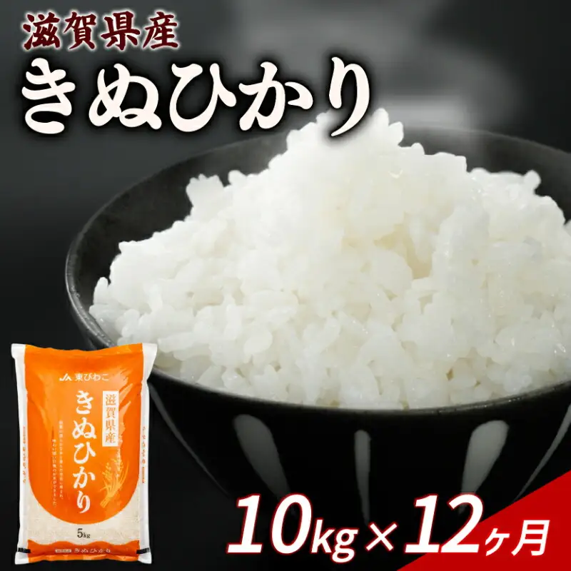 【12ヶ月定期便】 きぬひかり 10kg 令和7年産 キヌヒカリ 定期便 お米 米