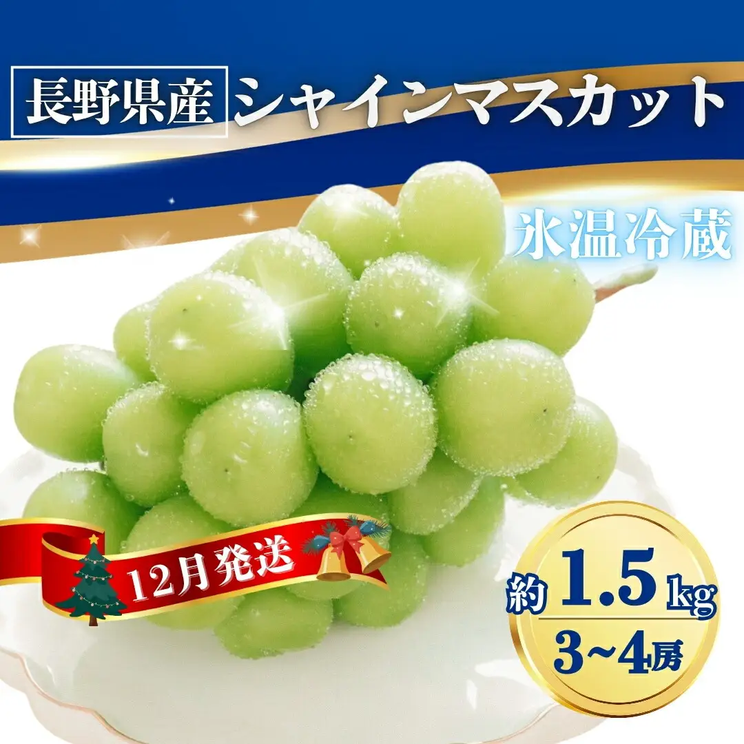 【2026年先行予約】氷温貯蔵シャインマスカット 約1.5kg(3~4房)|シャインマスカット 氷温貯蔵