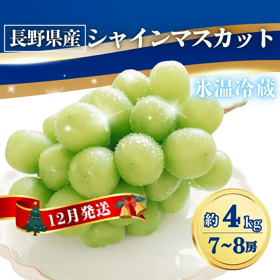 【2026年先行予約】氷温貯蔵シャインマスカット 約4kg(7~8房)|シャインマスカット 氷温貯蔵