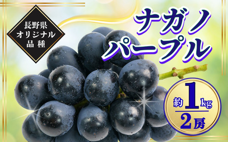 【2026年先行予約】ナガノパープル 約1kg|ぶどう ぶどう