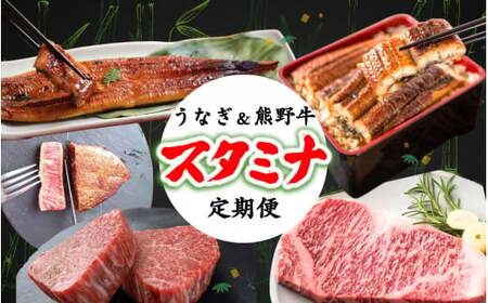 【全2回】－竹－ 国産うなぎ＆熊野牛 スタミナ定期便 / 定期便 鰻 牛肉 プレゼント お祝い 冷凍便 クール便 【tkb364】