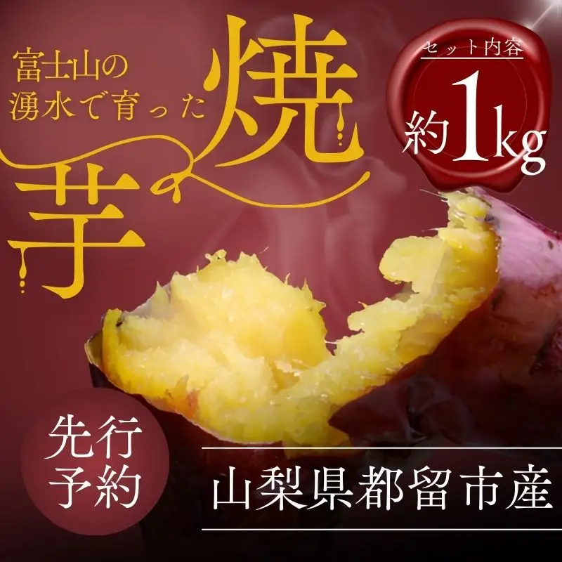 【2026年度先行予約】富士山の湧水で育った焼きいも　約1kg｜焼き芋