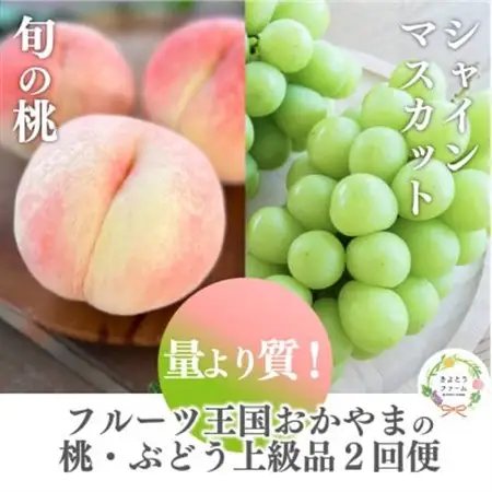 【発送月固定定期便】量より質の満足便!桃とシャインマスカットどっちも食べたい!(岡山県産)全2回【配送不可地域：離島】【4071129】