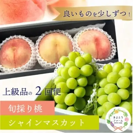 【発送月固定定期便】岡山県産の大玉桃(3玉)、大粒シャインマスカット(2房)の満足定期便! 全2回【配送不可地域：離島】【4071130】