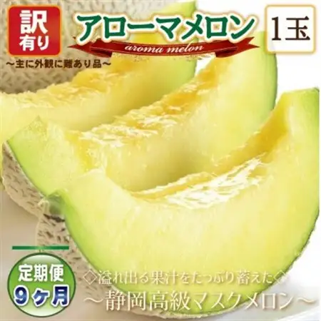 【毎月定期便】【高級メロンの訳あり品】アローマメロン1玉　全9回【配送不可地域：離島・北海道・沖縄県】【4071931】