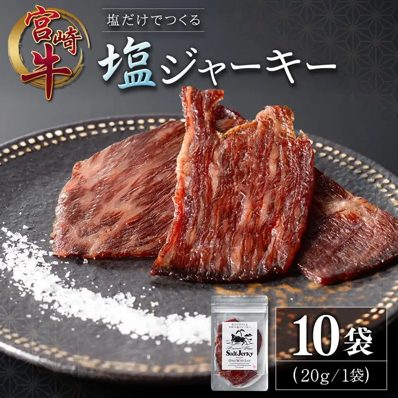 塩だけでつくる 宮崎牛 塩ジャーキー 10袋（20g×10袋）ブランド牛 ビーフジャーキー おつまみ 珍味 グルメ 干し肉 宮崎県産