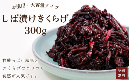 ＜訳あり・簡易包装＞＜お徳用＞しば漬け きくらげ 300g ふるさと納税 福知山市 ご飯 ごはん お漬物 ご飯のお供 漬け物 お土産 お取り寄せ グルメ 人気 おすすめ 【fc-AD003】【株式会社野村佃煮】