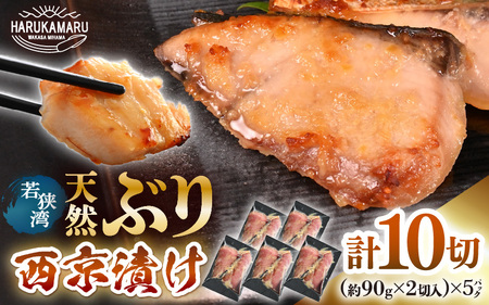 天然ぶり西京漬け 計10切（約90g×2切入）×5パック【福井県 ブリ 鰤】 [m36-a027]