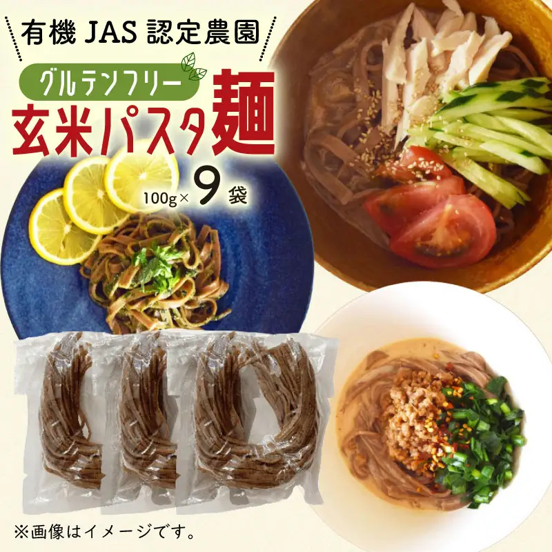 有機グアバ農園のグルテンフリー玄米パスタ麺 100g×9袋セット グルテンフリー