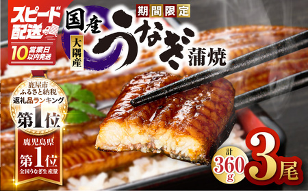 【 10営業日以内に発送 】【 期間限定 】  鹿児島県大隅産 うなぎ蒲焼 3尾セット（ 計360g ） KN007-021-sp 魚 冷凍 鰻 スピード配送 最短 すぐ届く お急ぎ
