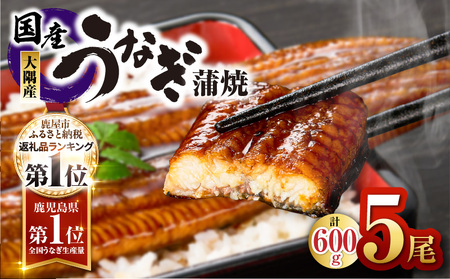 【 土用の丑の日特集 】鹿児島県大隅産 うなぎ蒲焼 5尾 セット（計600g） KN007-022  うなぎ 鰻 魚 惣菜 総菜