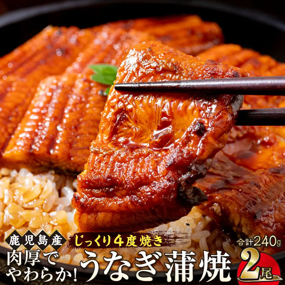 うなぎ 蒲焼 120g×2尾【鹿児島産】地下水で育てた絶品鰻｜うなぎ