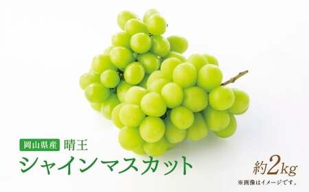 【岡山県産】 シャインマスカット約2.0kg  （3～4房） 【2026年9月上旬〜11月下旬発送予定】 ／ ぶどう ブドウ 葡萄 マスカット 種なし 種無し フルーツ 果物 くだもの 果実