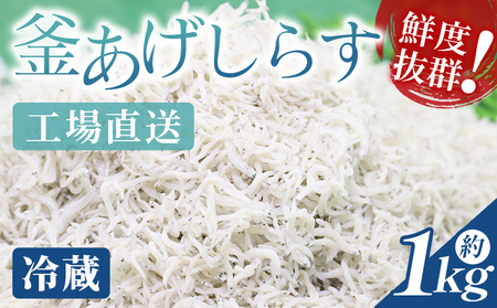 【冷蔵】釜あげしらす(ちりめん) 約1kg【しらす しらす しらす しらす しらす しらす】 mu-0008