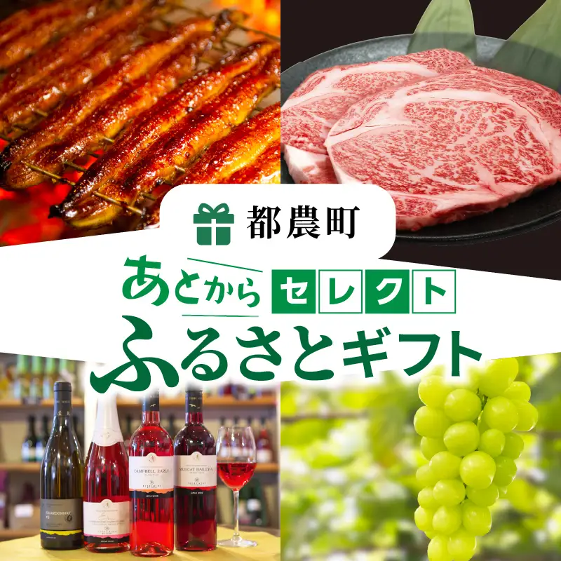 ≪期限1年間≫あとからセレクト 10,000円コース【ふるさとギフト】 あとから選べる カタログ ギフト 鰻 肉 ワイン 都農町_T998-001