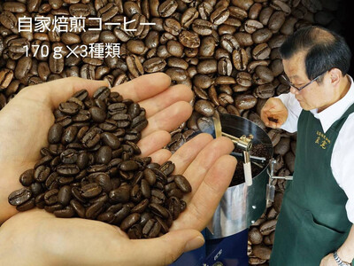 【挽き方：豆】お家でカフェ♪アメリカンスペシャリティ認定豆170ｇ×3袋