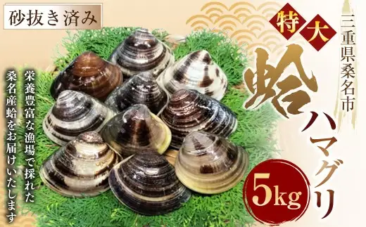 【指定日必須】【特大】 丸元水産 桑名産蛤（ハマグリ） 5.0kg はまぐり ハマグリ 蛤 天然 活 砂抜き済 特大 大粒 肉厚 BBQ キャンプ 網焼き 魚介 貝 魚貝 活はまぐり 焼きはま 海鮮 網焼き 酒蒸し お吸い物 パエリア パスタ 桑名 日にち指定【2025年9月下旬から2026年6月下旬発送予定】