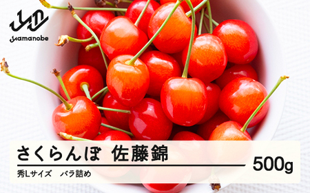 《先行予約》 さくらんぼ 佐藤錦 秀Lサイズ 500g 2026年産 令和8年産 山形県産 ns-snslb500
