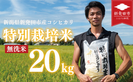 無洗米 コシヒカリ 20kg 新潟産 令和7年産 無洗米 toushin025