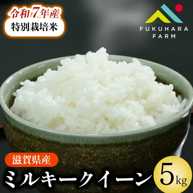 【令和7年産】 ミルキークイーン 5kg 白米 特別栽培米 精米 滋賀県 彦根市 ミルキークイーン