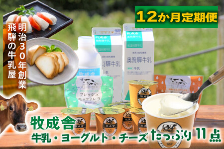 12か月定期便【飛騨乳製品バラエティセット】牛乳・ヨーグルト・チーズ詰め合わせ　11点セット ｜乳製品 習慣 詰合せ 家族 朝食  牧成舎 牧成舎 DF247
