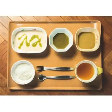 介護用GSミキサー食・お試し1日分(3食)【配送不可地域：離島】【1650118】