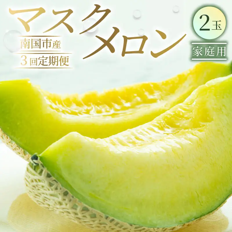 【3回定期便】家庭用 メロン 2玉 【 メロン フルーツ】