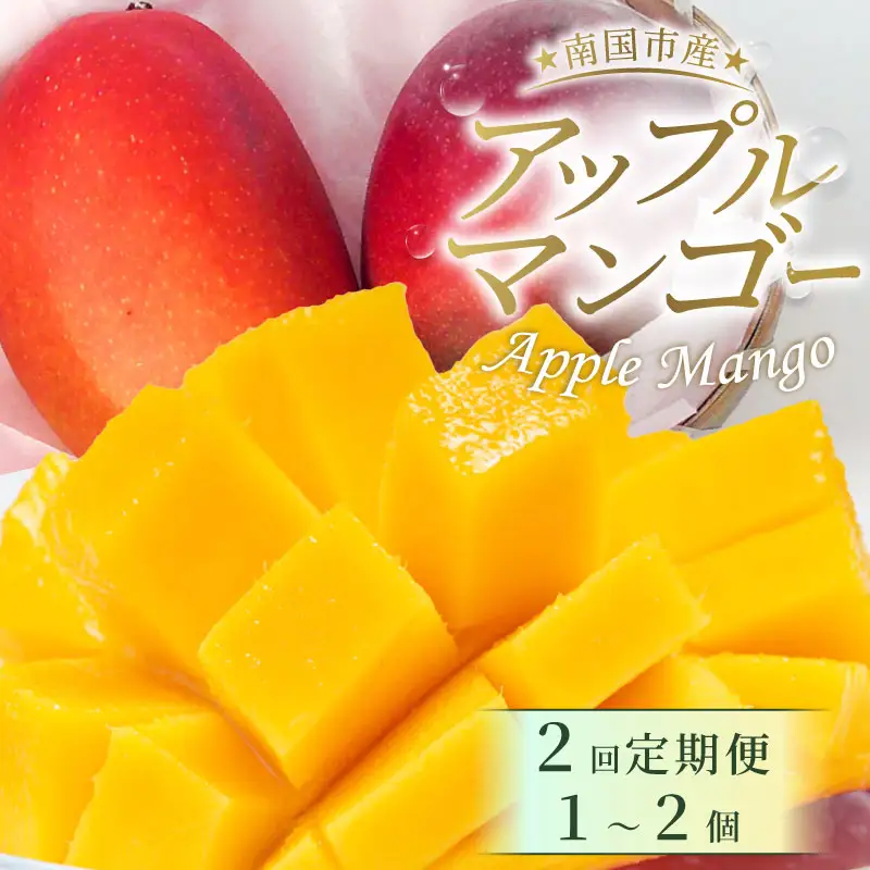 【2回定期便】アップルマンゴー 500g 【マンゴー フルーツ】