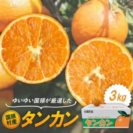 【2027年1月から順次発送】国頭村産 タンカン 3kg やんばるの人気柑橘 濃厚な甘みとコク【1651875】
