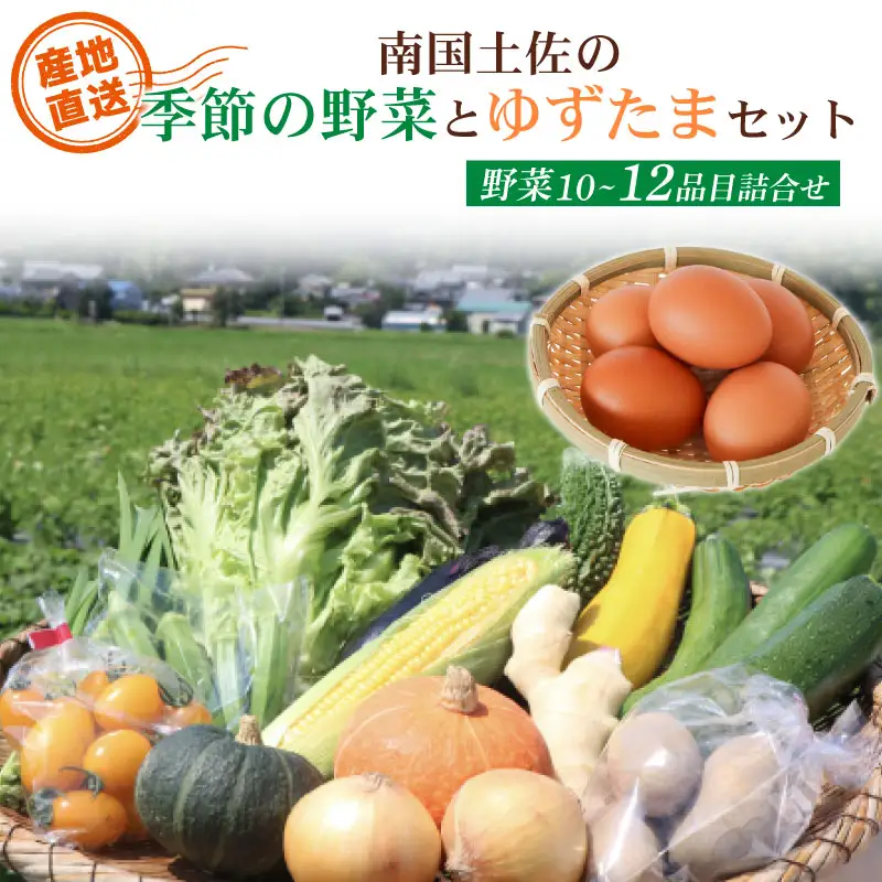 南国土佐の季節野菜と卵（ゆずたま）の詰め合わせセット | セット 詰め合わせ 旬 やさい 野菜 たまご 卵 柚子 ゆず ゆずたま 農家直送 お楽しみ かぼちゃ カボチャ キャベツ きゃべつ トマト とまと 玉ねぎ たまねぎ タマネギ きゅうり キュウリ 旬野菜 夏野菜 春野菜 人気 高知県 南国市