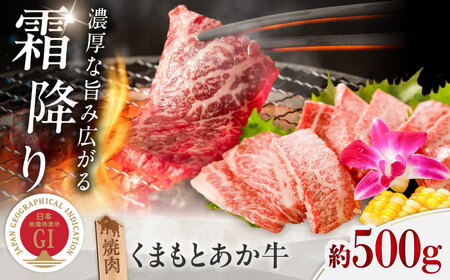 GI認証 くまもとあか牛 焼肉 約500g あか牛焼肉 BHAZ024