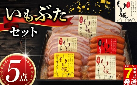 いもぶた 5点 セット 【 セット 】