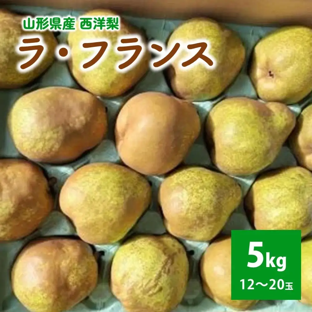 西洋梨（ラ・フランス）５ｋｇ　ご家庭用　0056-2619