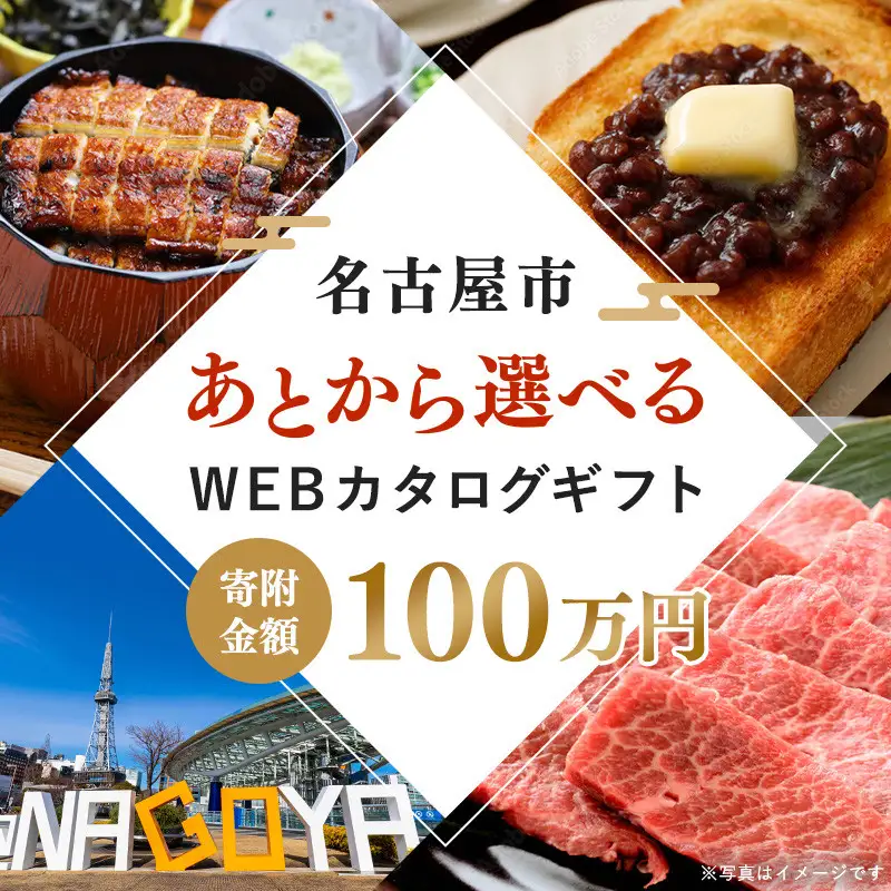 あとから選べるWEBカタログギフト（寄附100万円コース）300000ポイント名古屋市