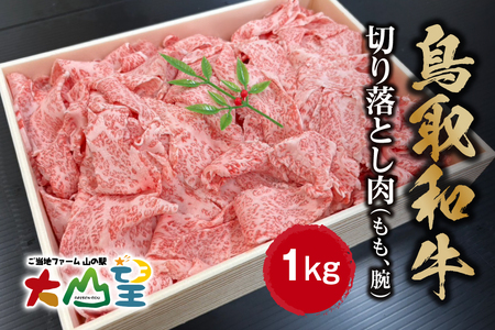 大山望 鳥取和牛 切り落とし肉（もも、腕）1kg 牛肉 和牛 お肉 切り落とし
